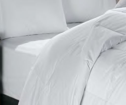 90 X 95 Downlite Enviroloft Duvet Insert 46 Oz Queen Xl Size