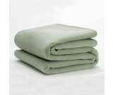 66" x 90" Twin Size Vellux Blanket Pale Jade