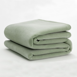 80" x 90" Full Size Vellux Blanket Pale Jade