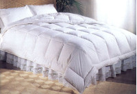 Mattress Pads and Bed Bug Covers