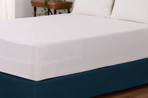 Mattress Encasement